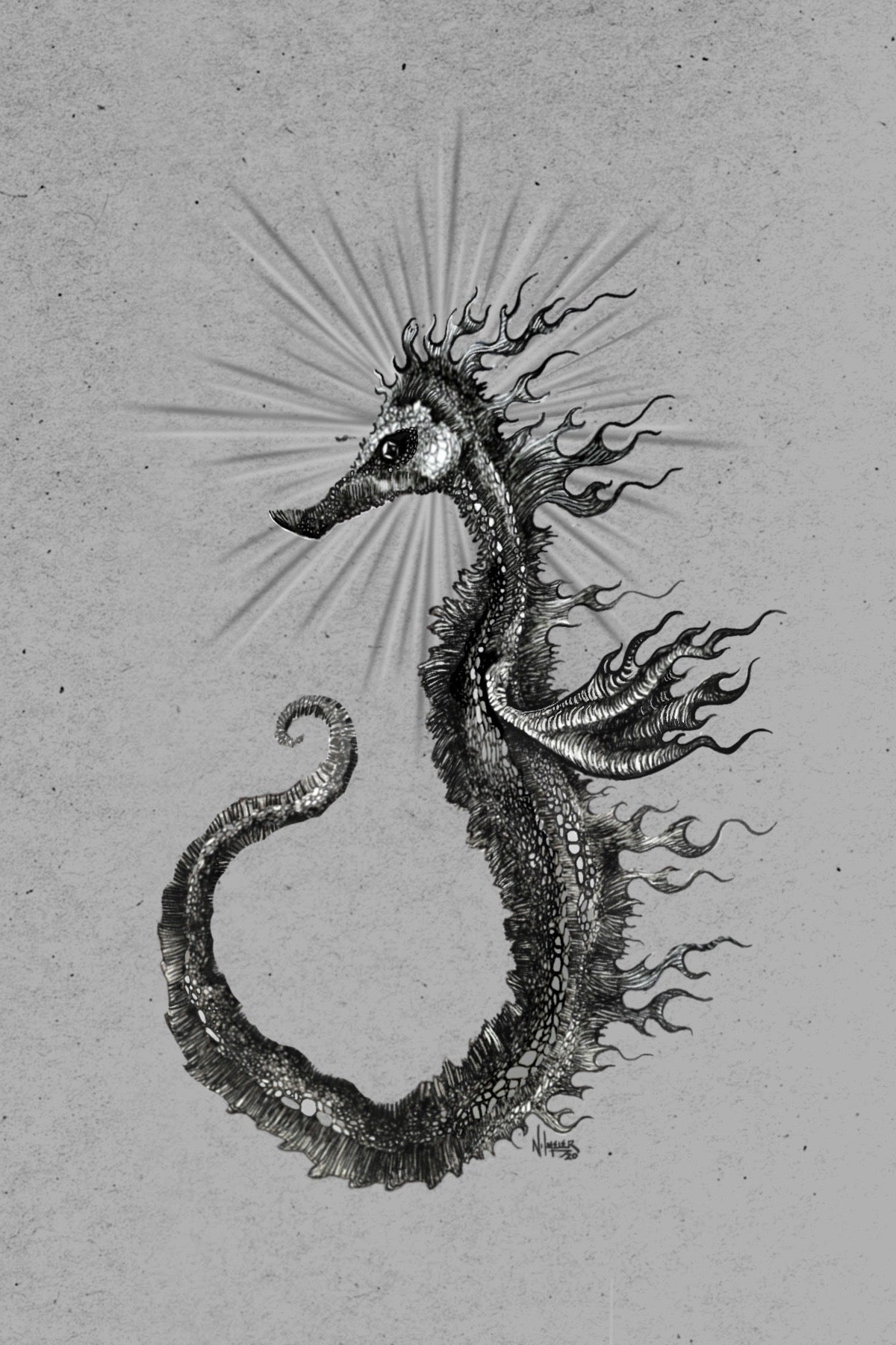 Seahorse Enfuego