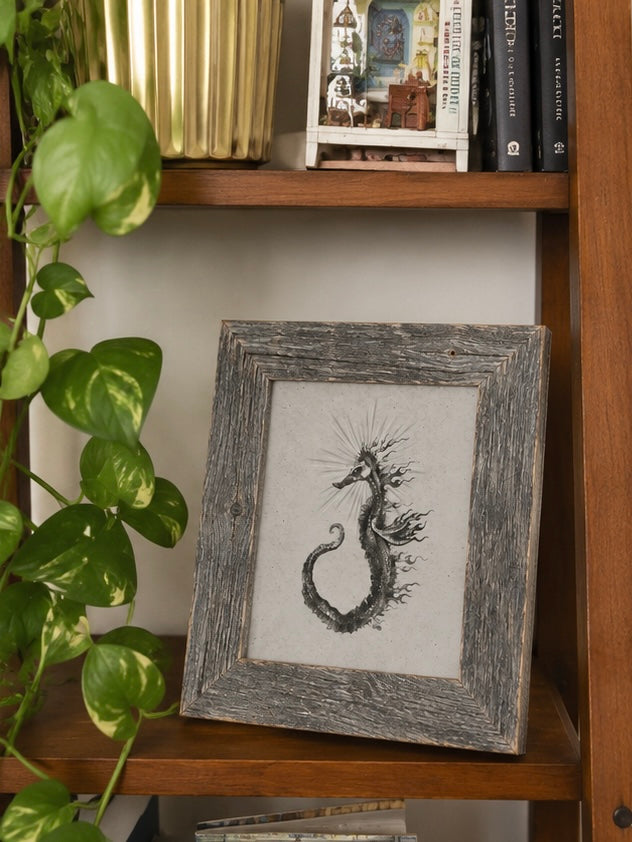 Seahorse Enfuego