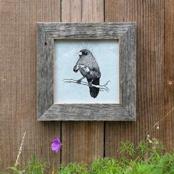 Cappuccino Finch
