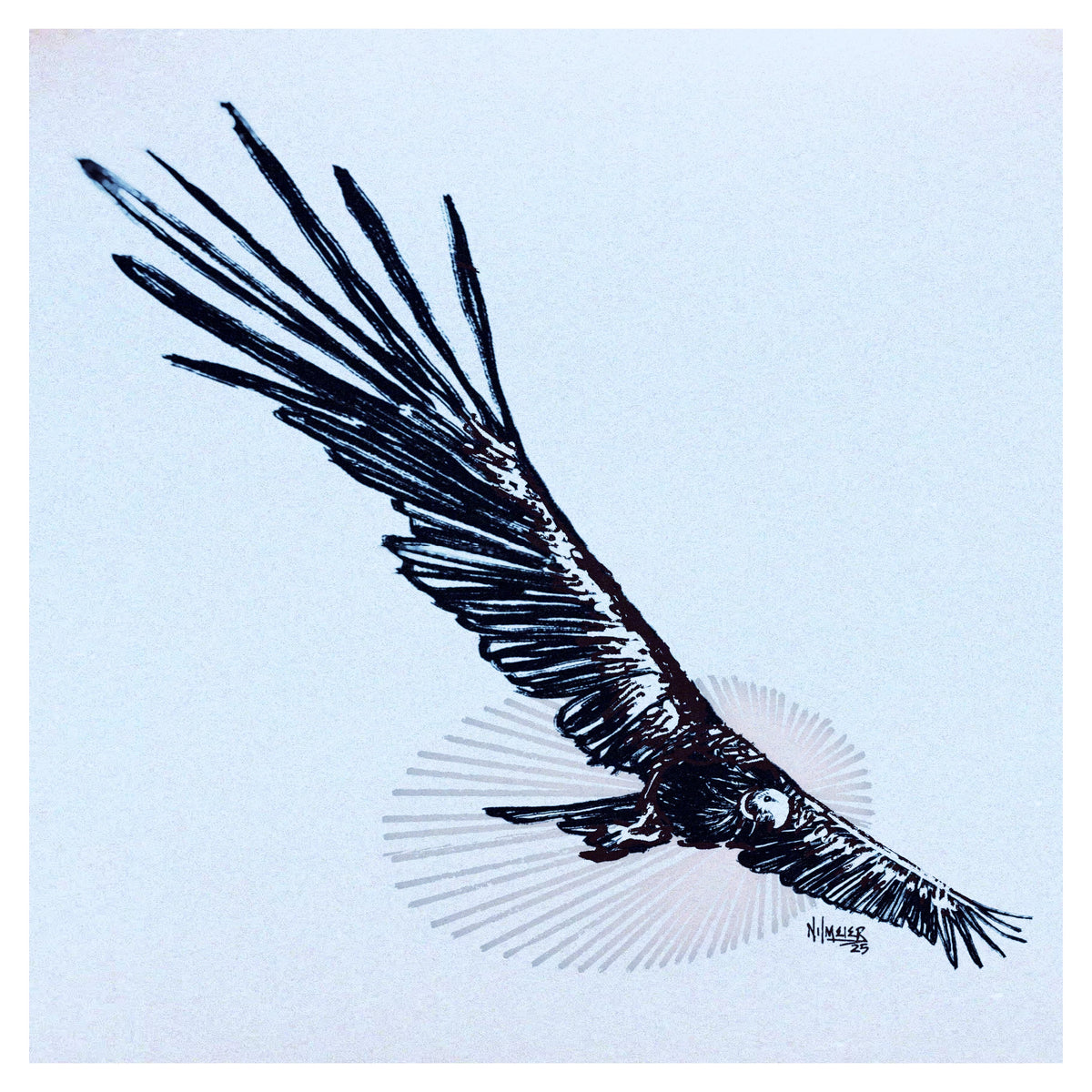 Prints (unframed)